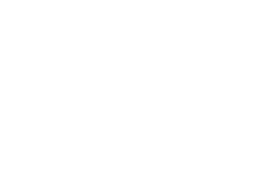 Firestone image